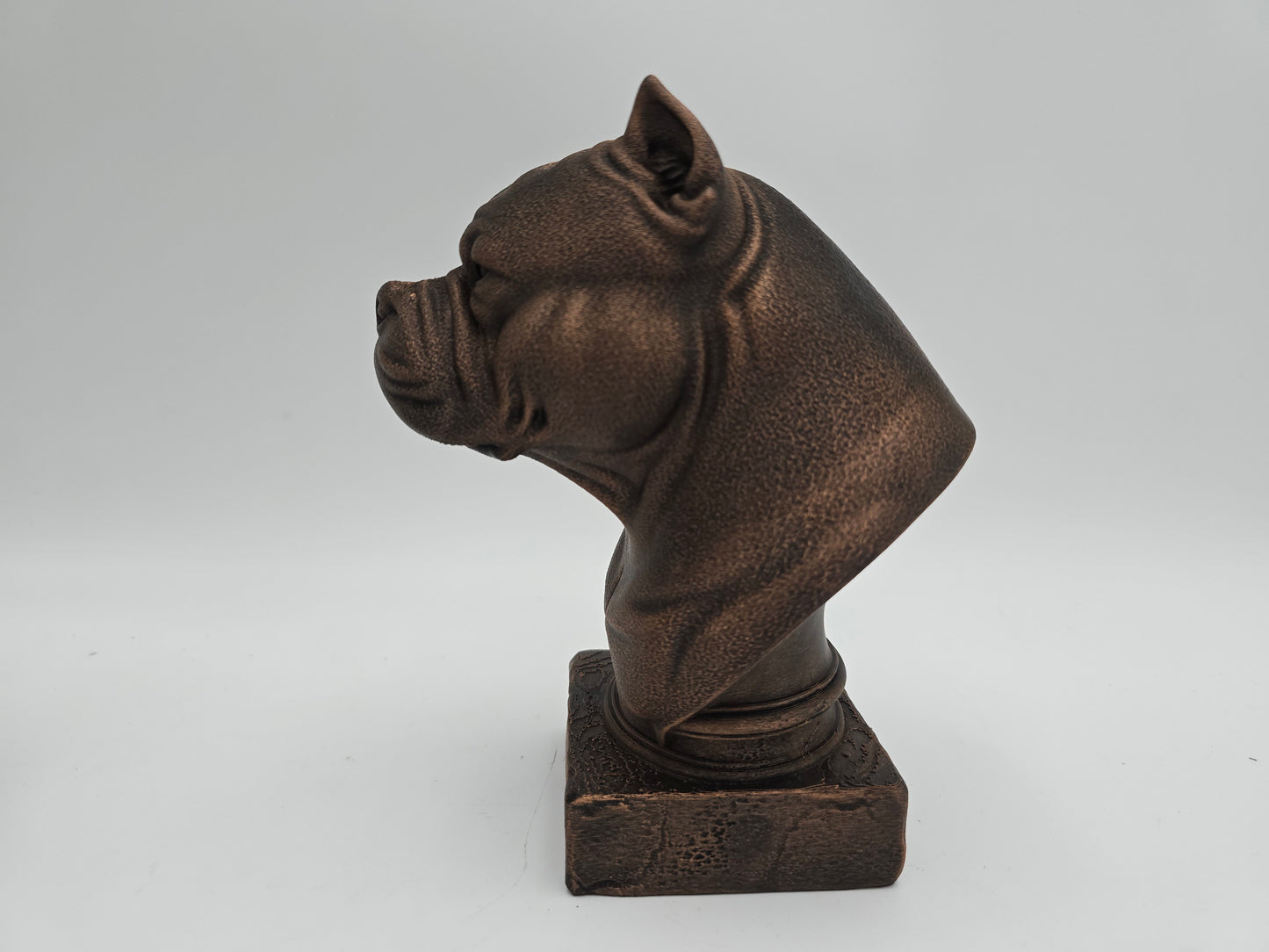 American Bulldog Bust