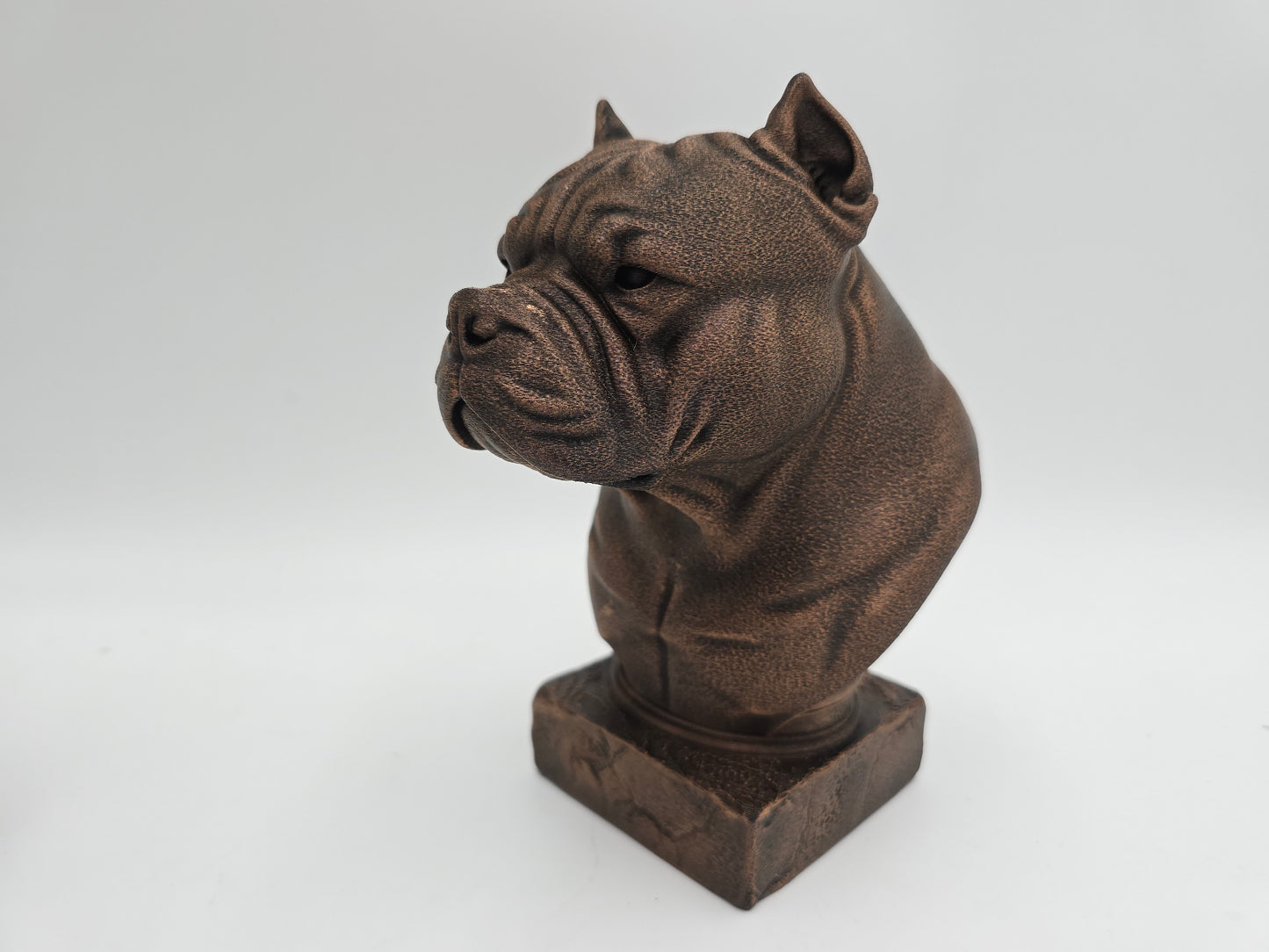 American Bulldog Bust