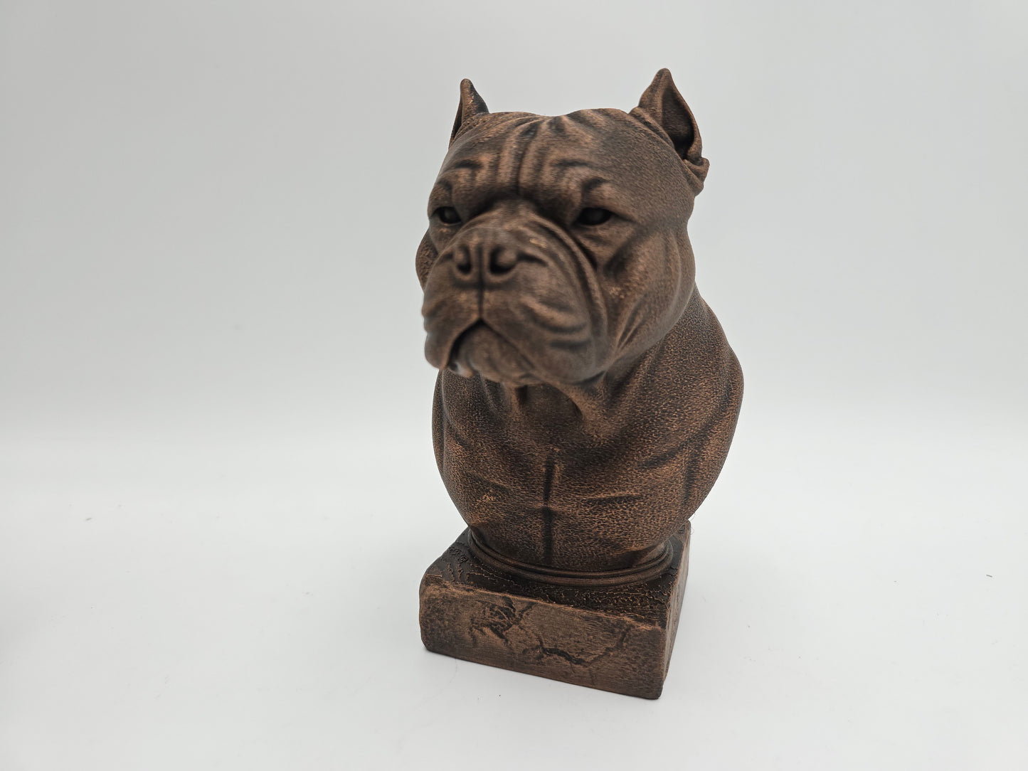 American Bulldog Bust