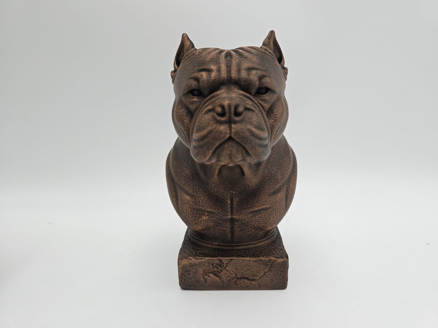 American Bulldog Bust