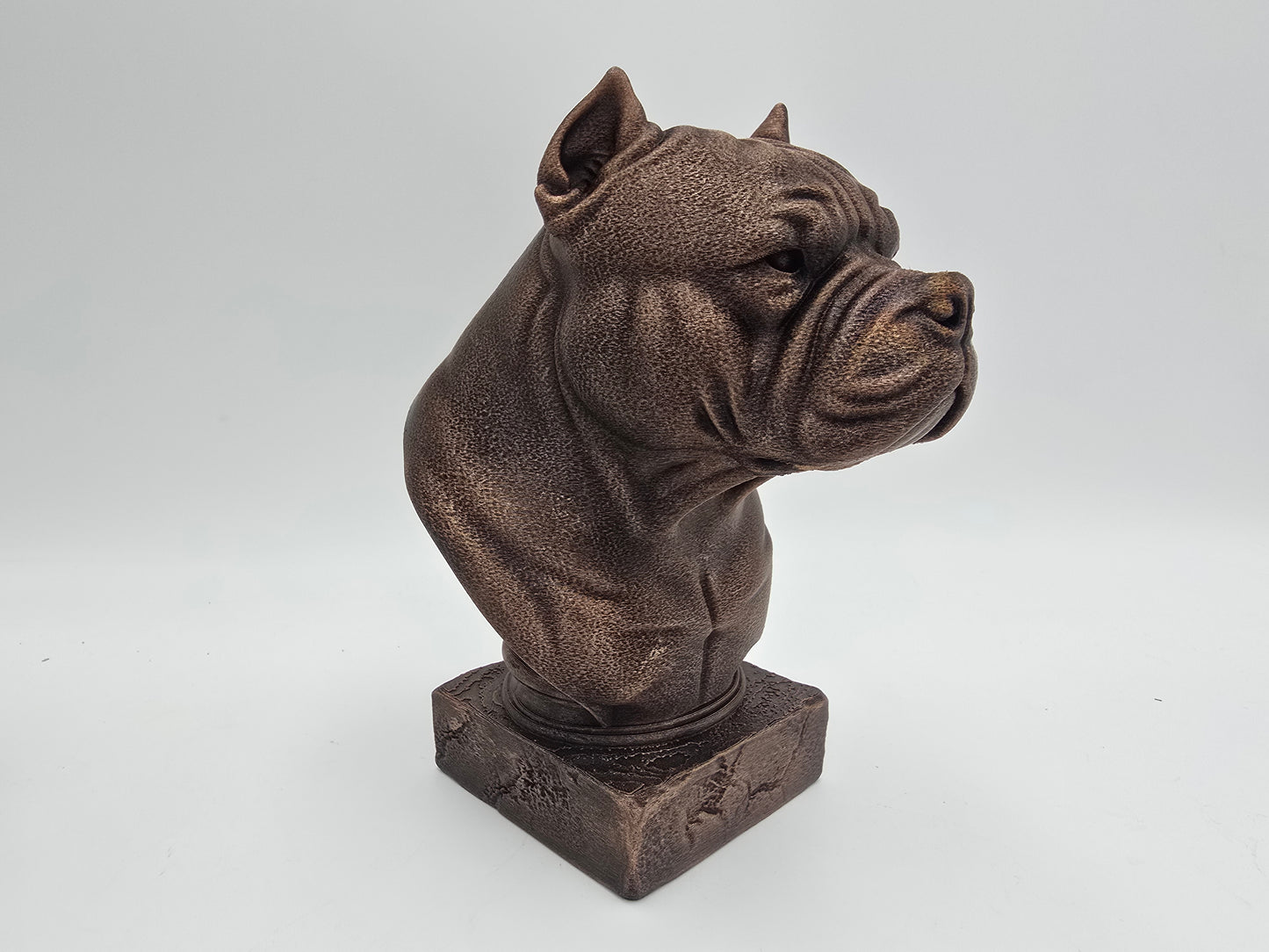 American Bulldog Bust