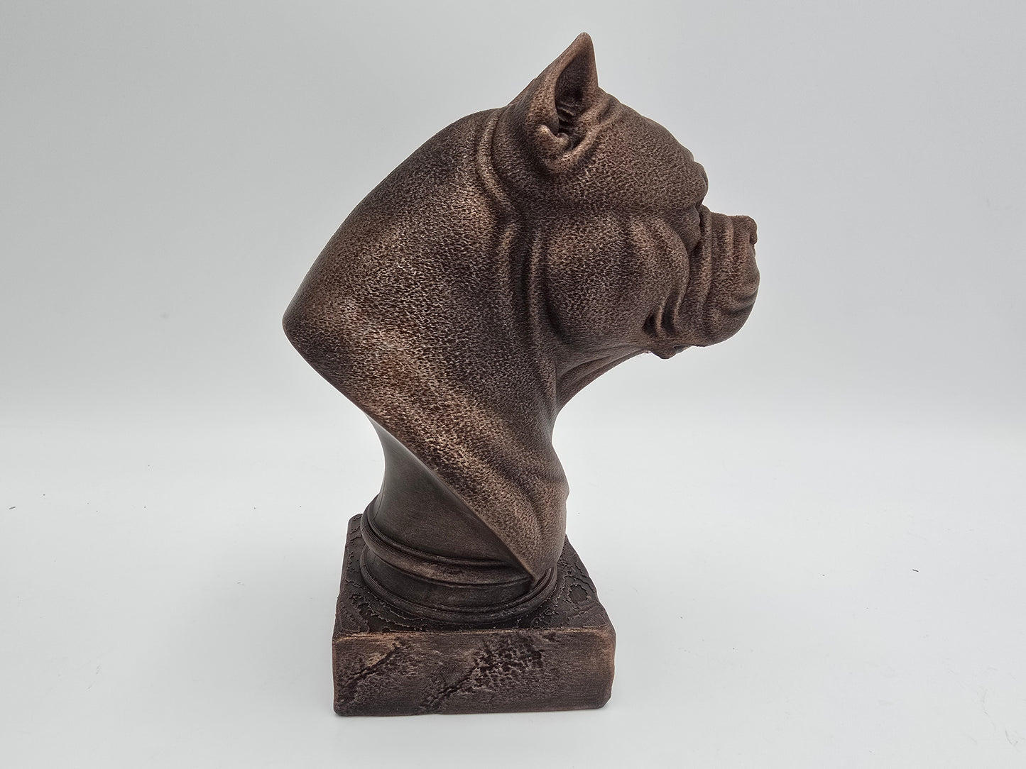 American Bulldog Bust