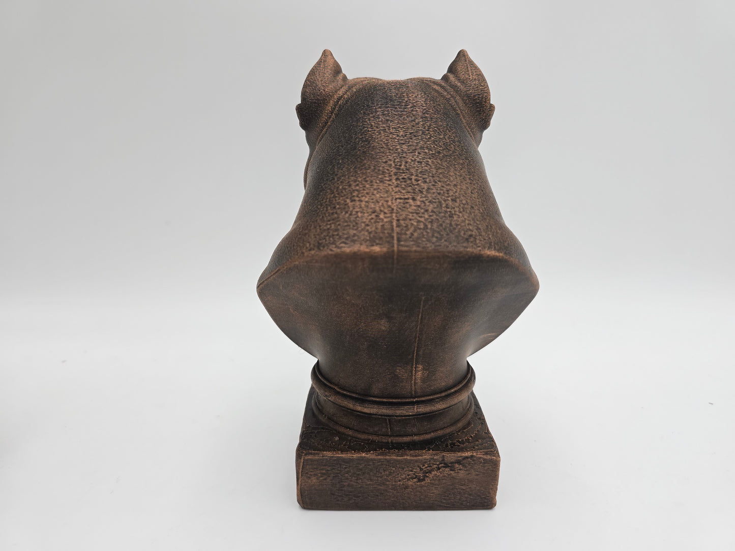 American Bulldog Bust