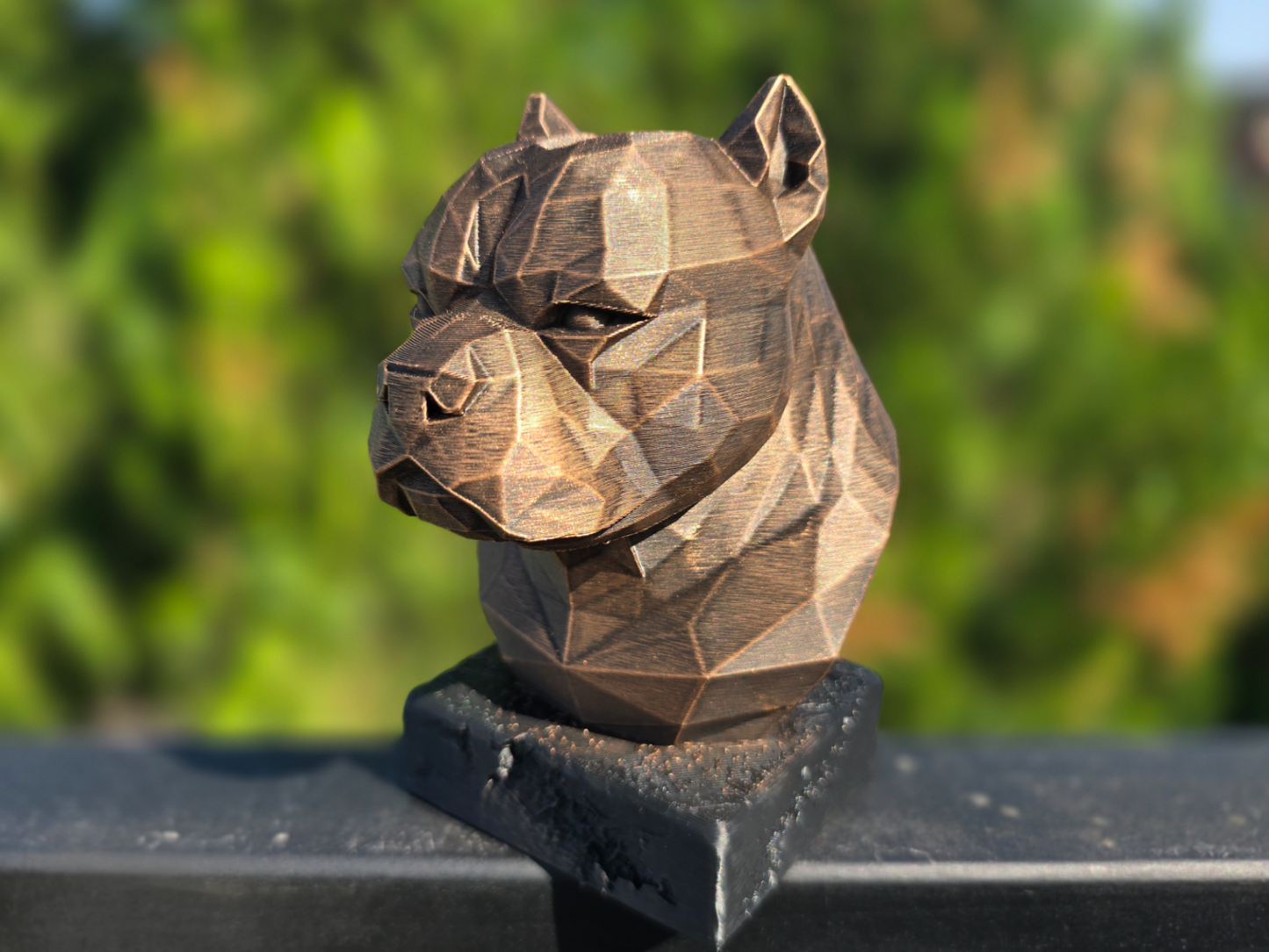 American Bully Bust