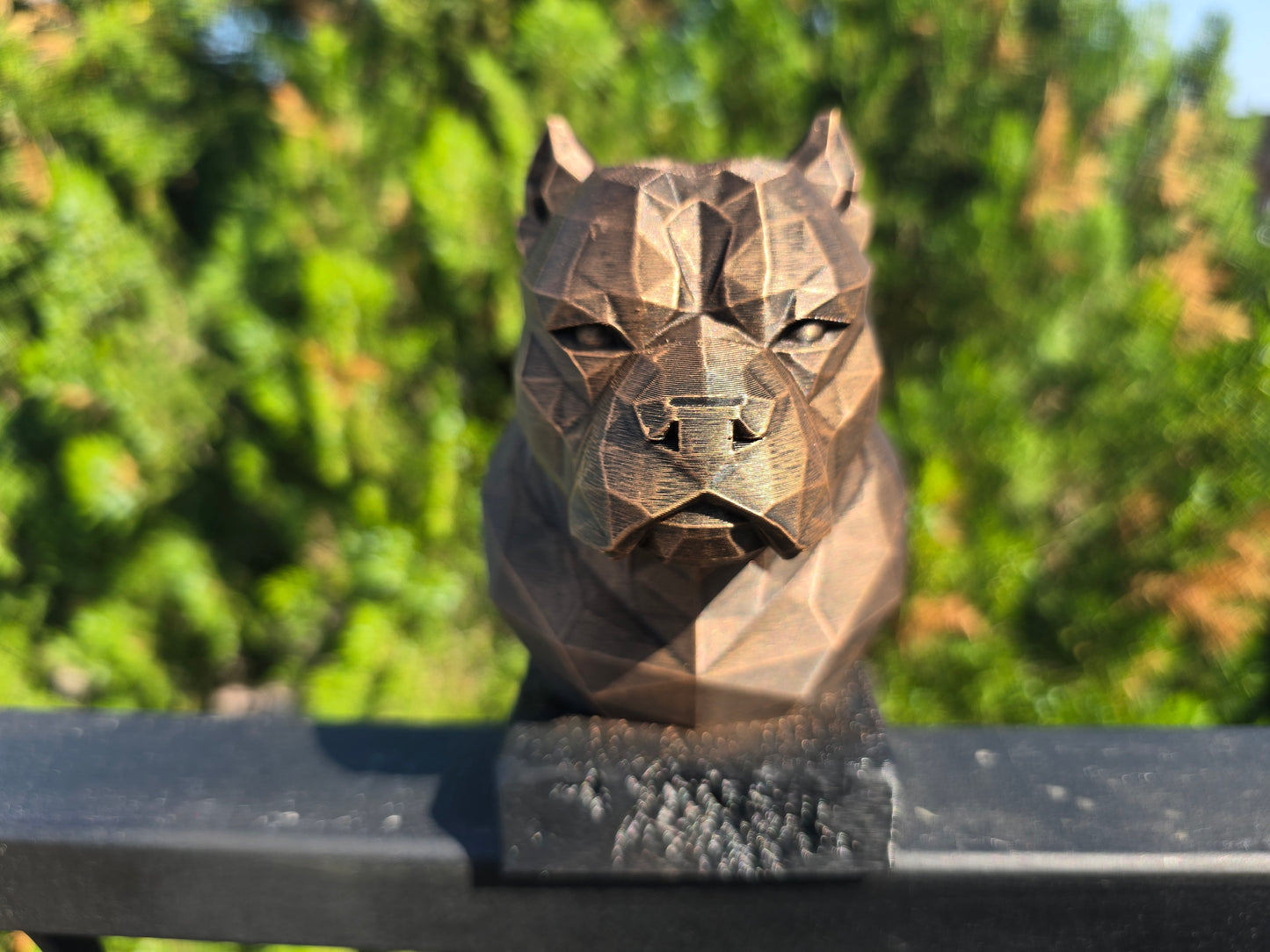 American Bully Bust