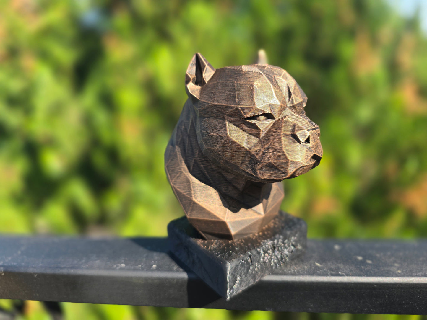 American Bully Bust