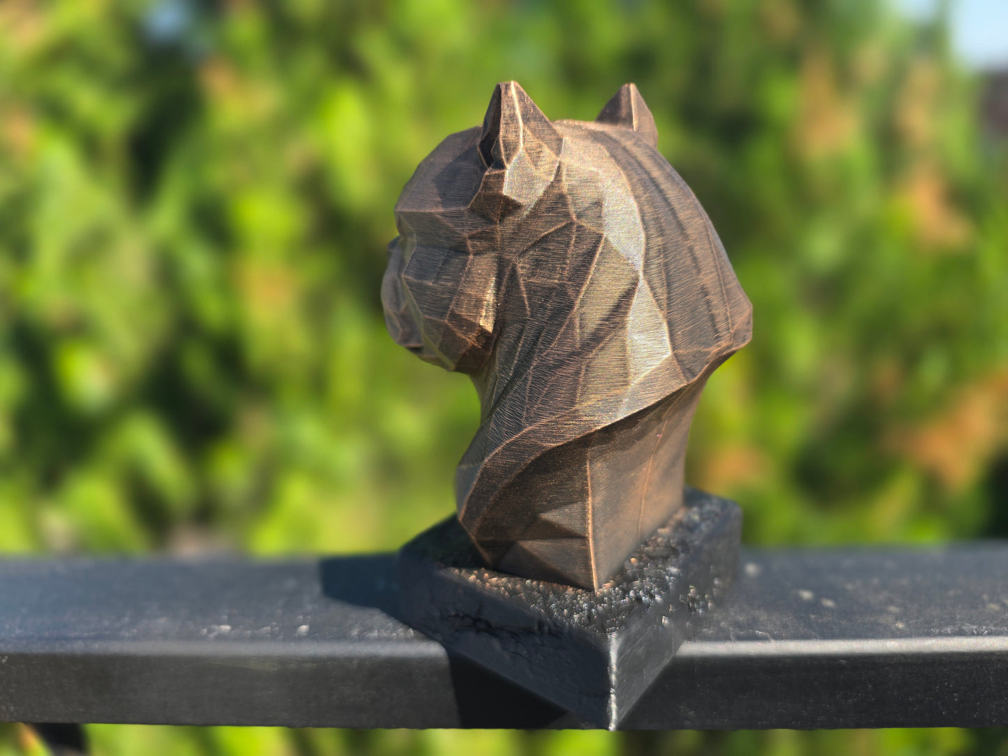 American Bully Bust