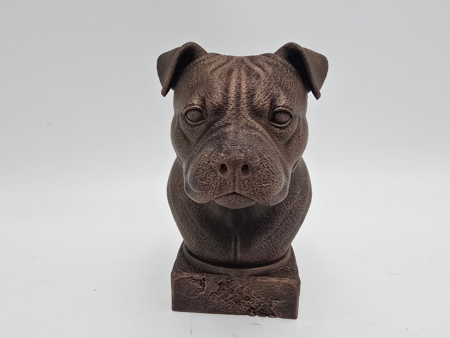 American Bully Bust