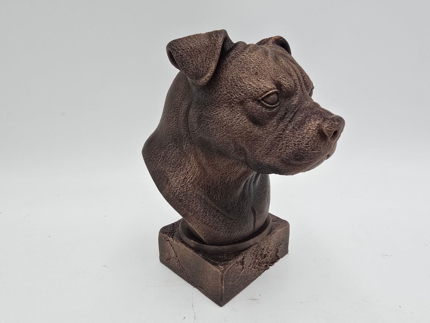 American Bully Bust