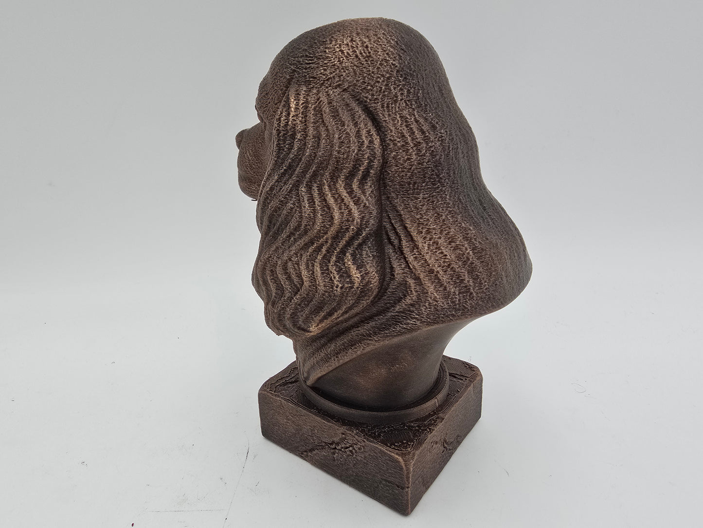 American Cocker Spaniel Bust