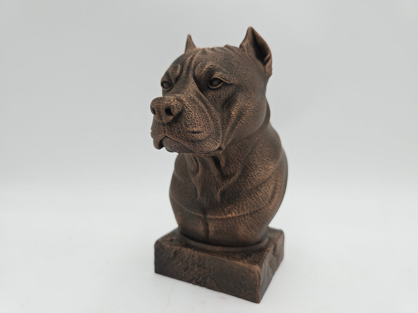 Amstaff Bust