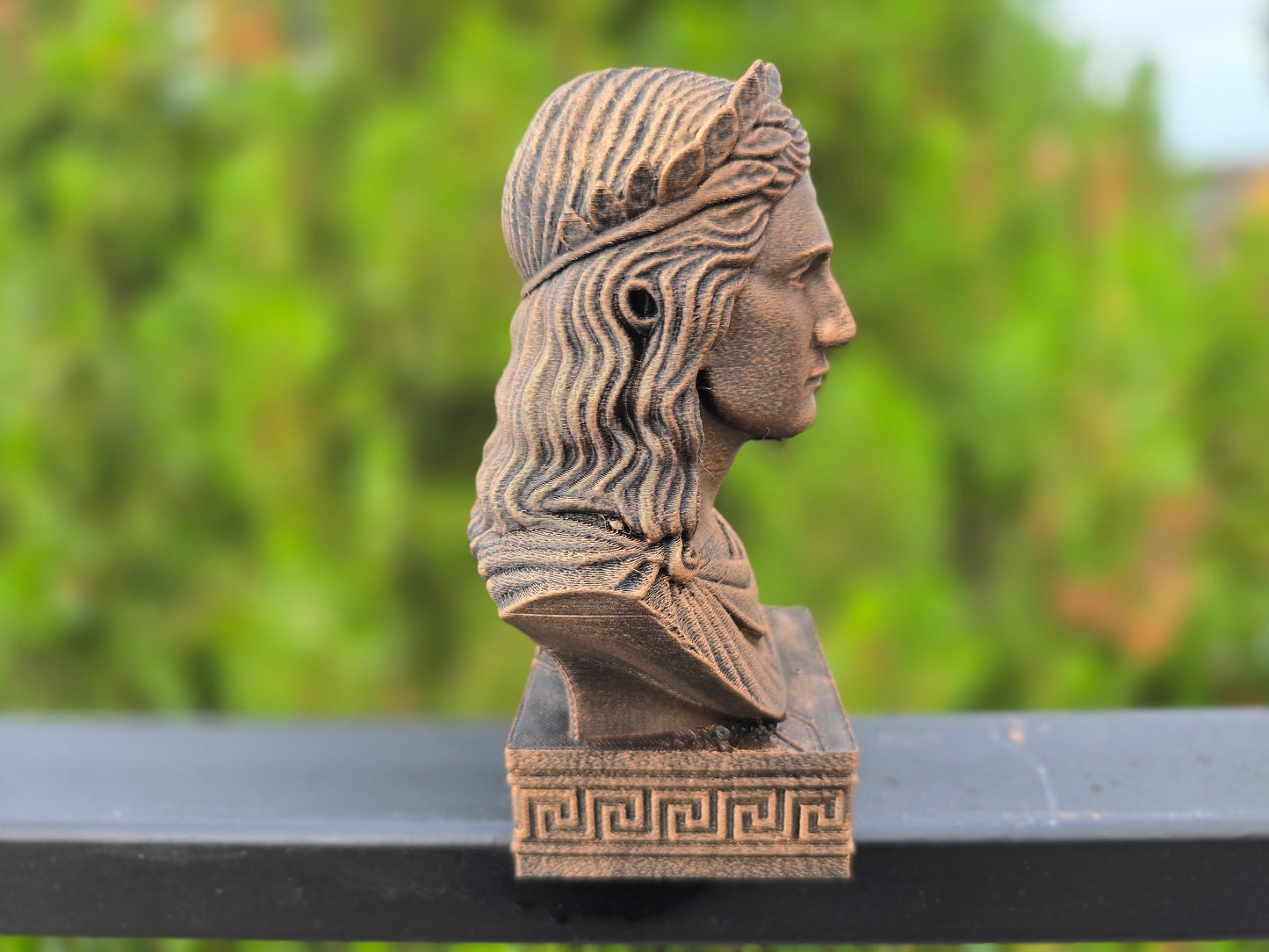 Apollo Bust