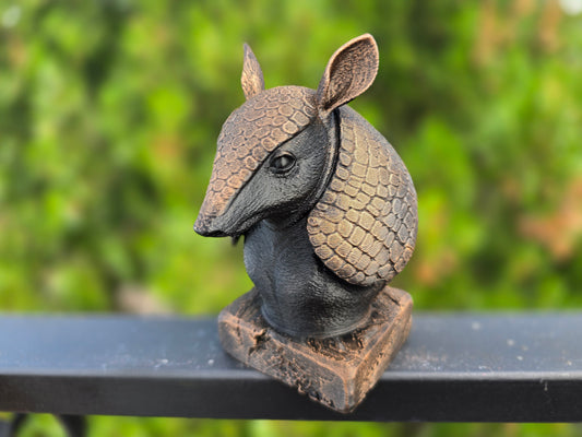Armadillo Bust
