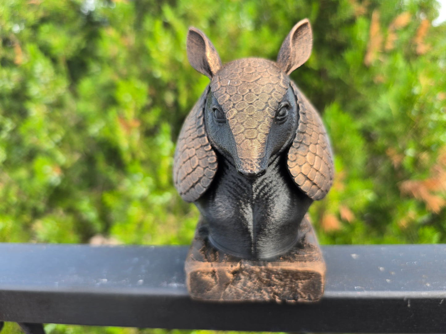 Armadillo Bust