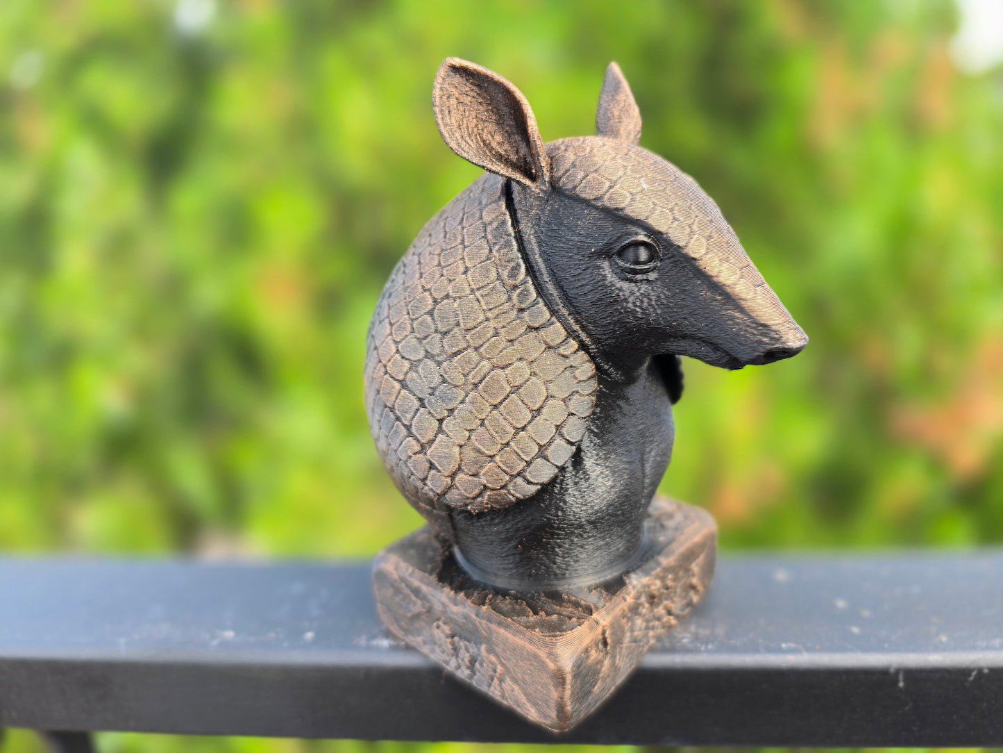 Armadillo Bust