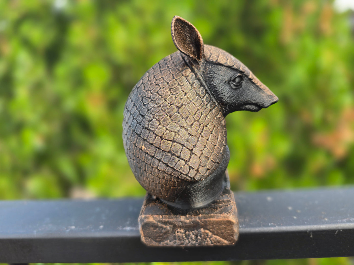 Armadillo Bust