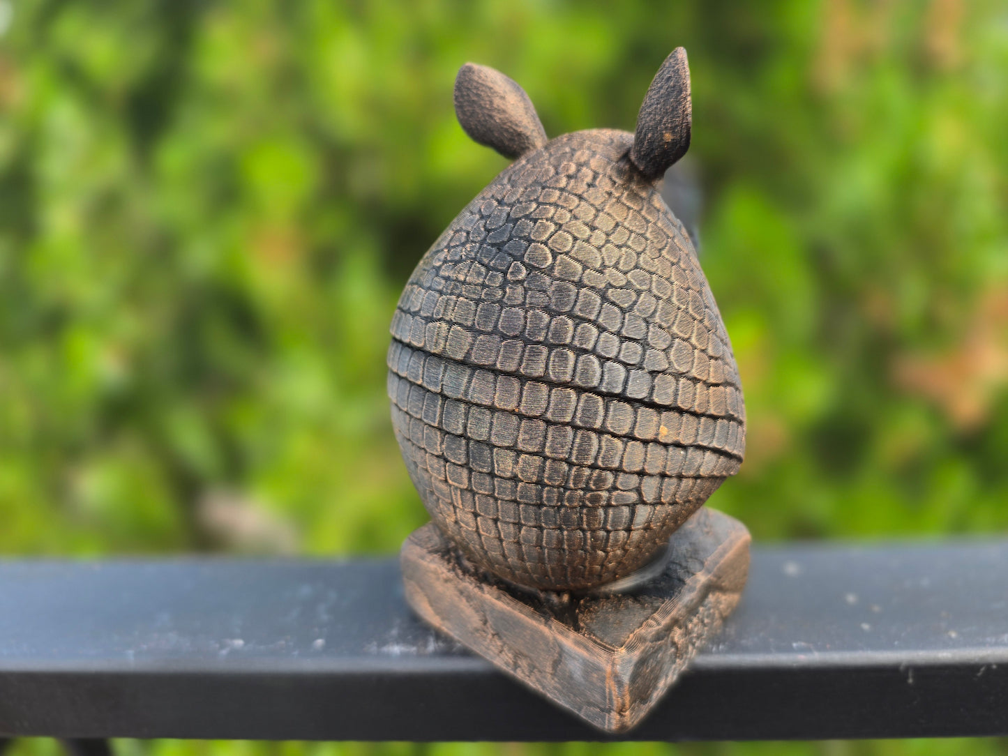 Armadillo Bust