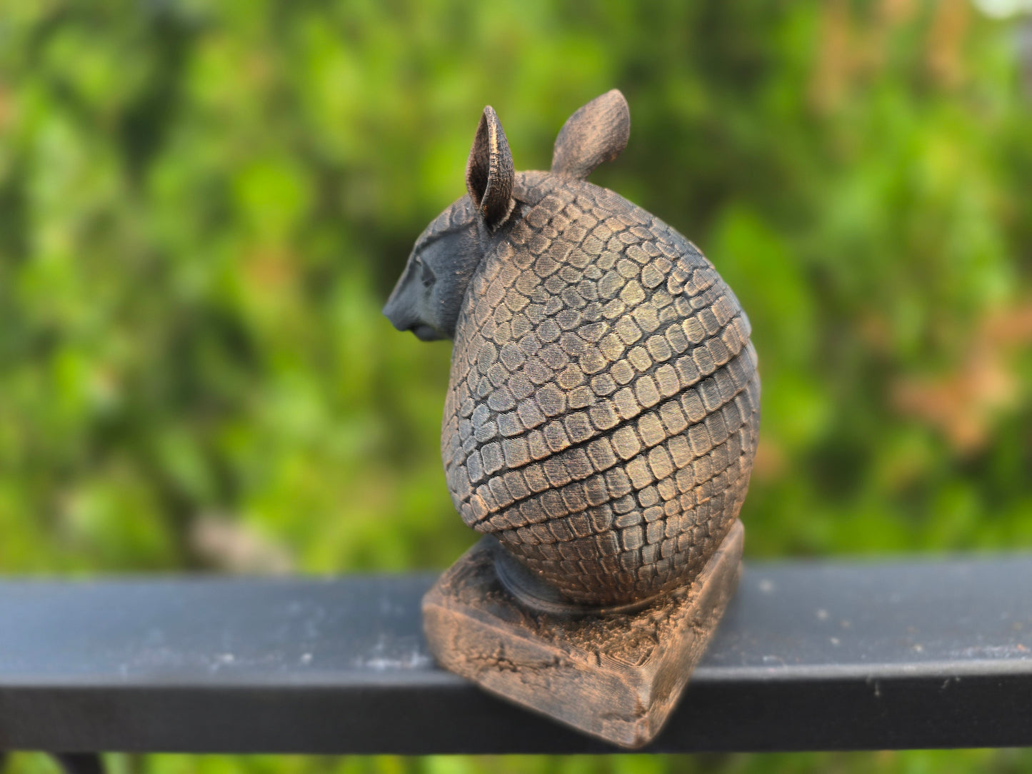 Armadillo Bust