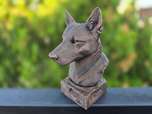 Australian Cattle Dog Bust