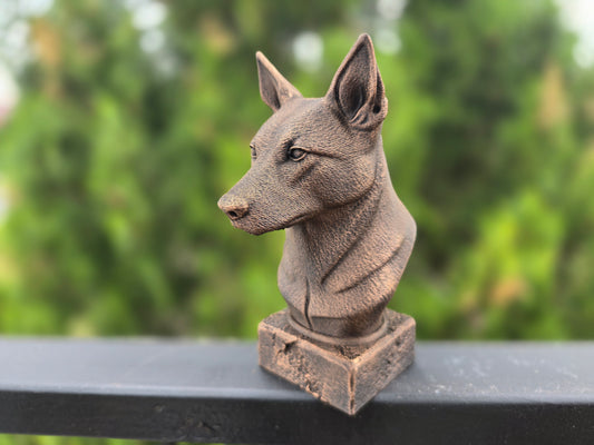 Australian Kelpie Bust
