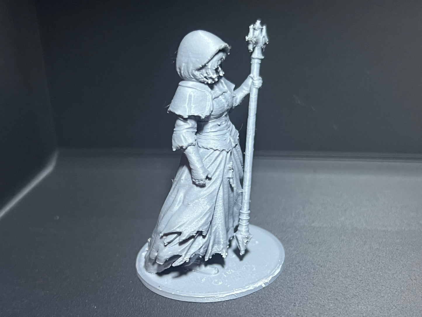 Dungeons & Dragons Abyss Healer Miniature