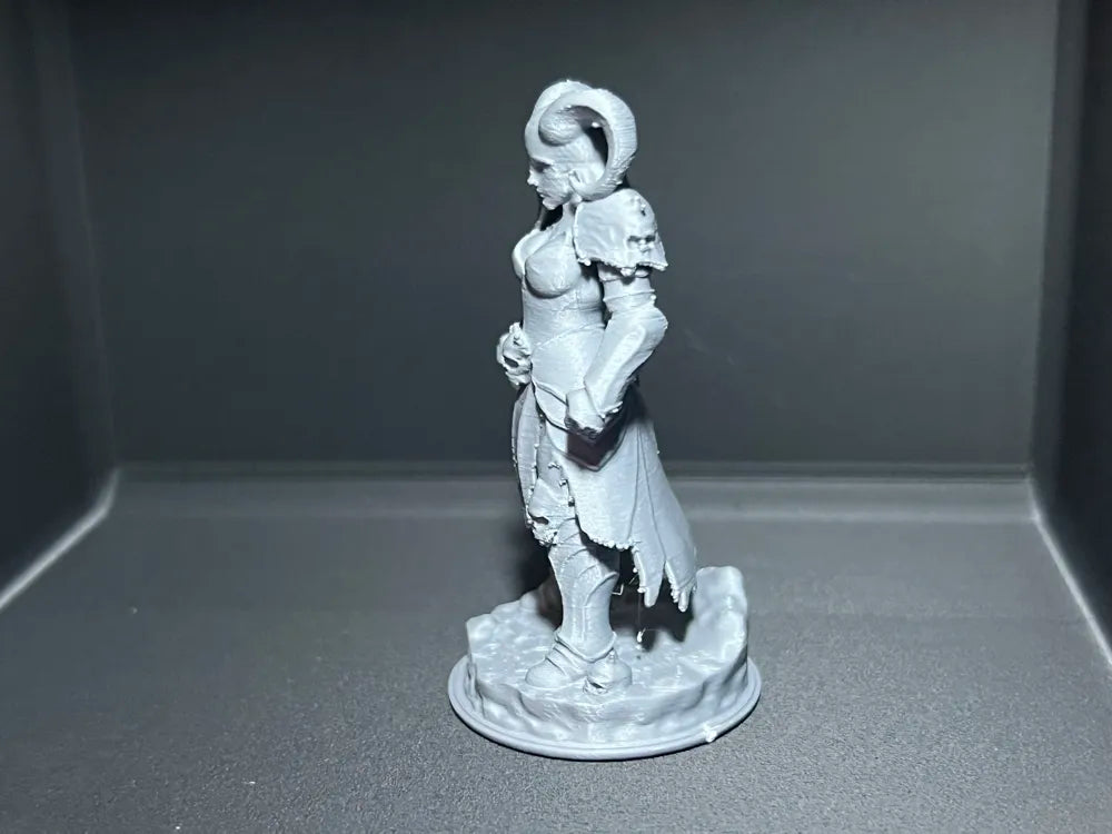 Dungeons & Dragons Abyssal Female Fighter Miniature