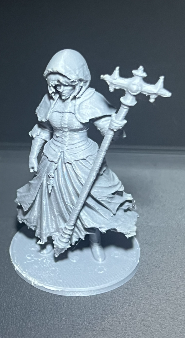 Dungeons & Dragons Abyss Healer Miniature