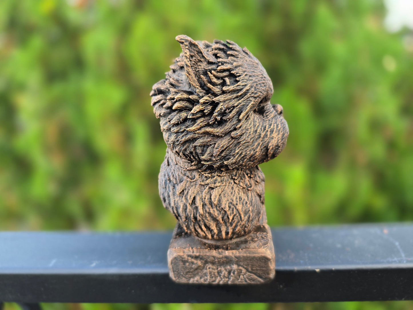 Affenpinscher Bust