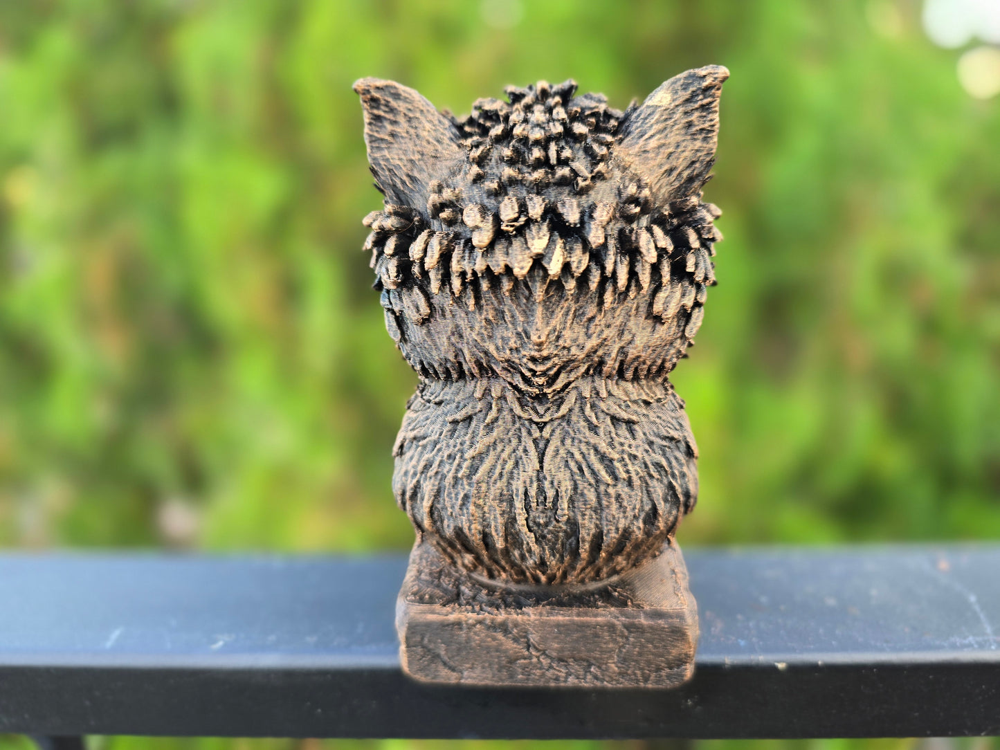 Affenpinscher Bust
