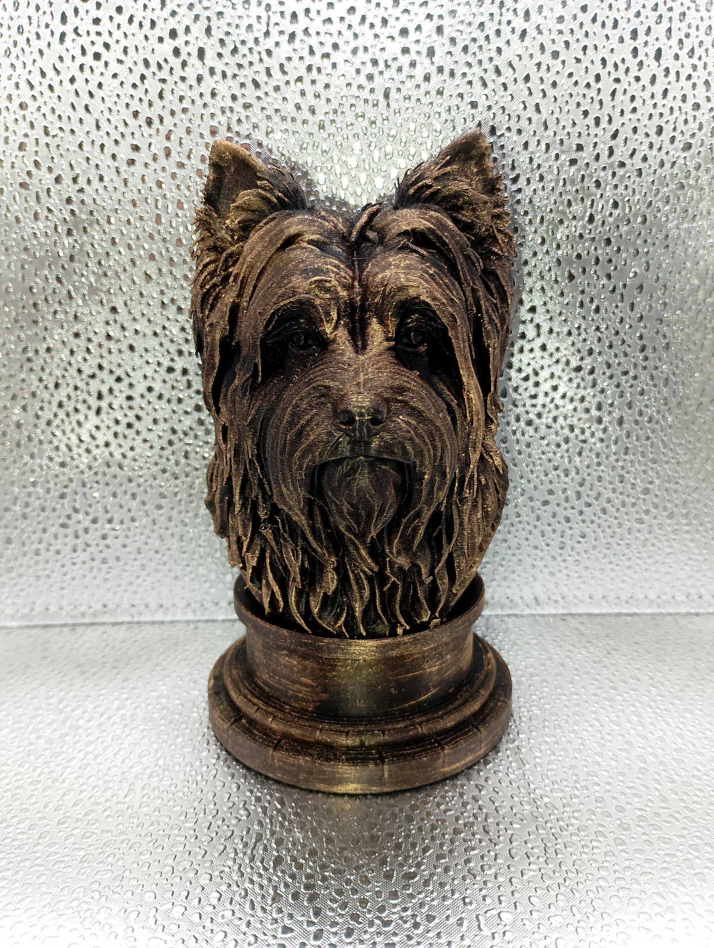 Affenpinscher Bust