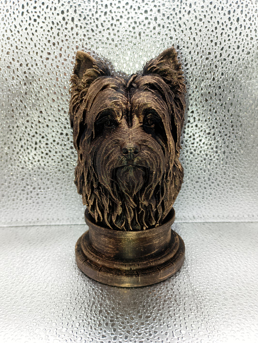 Affenpinscher Bust