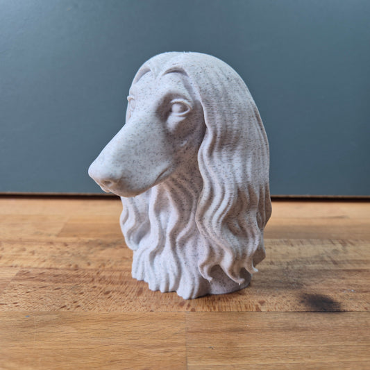 Afghan Hound Bust