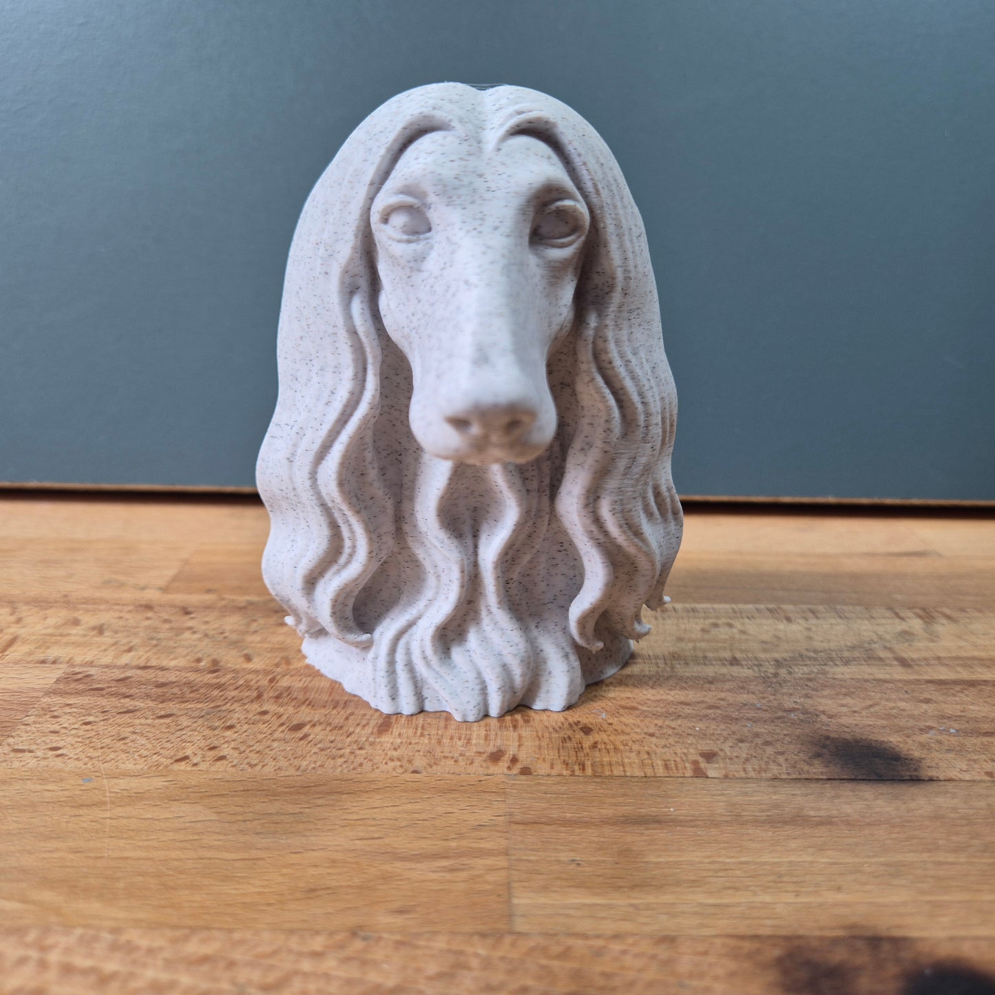 Afghan Hound Bust