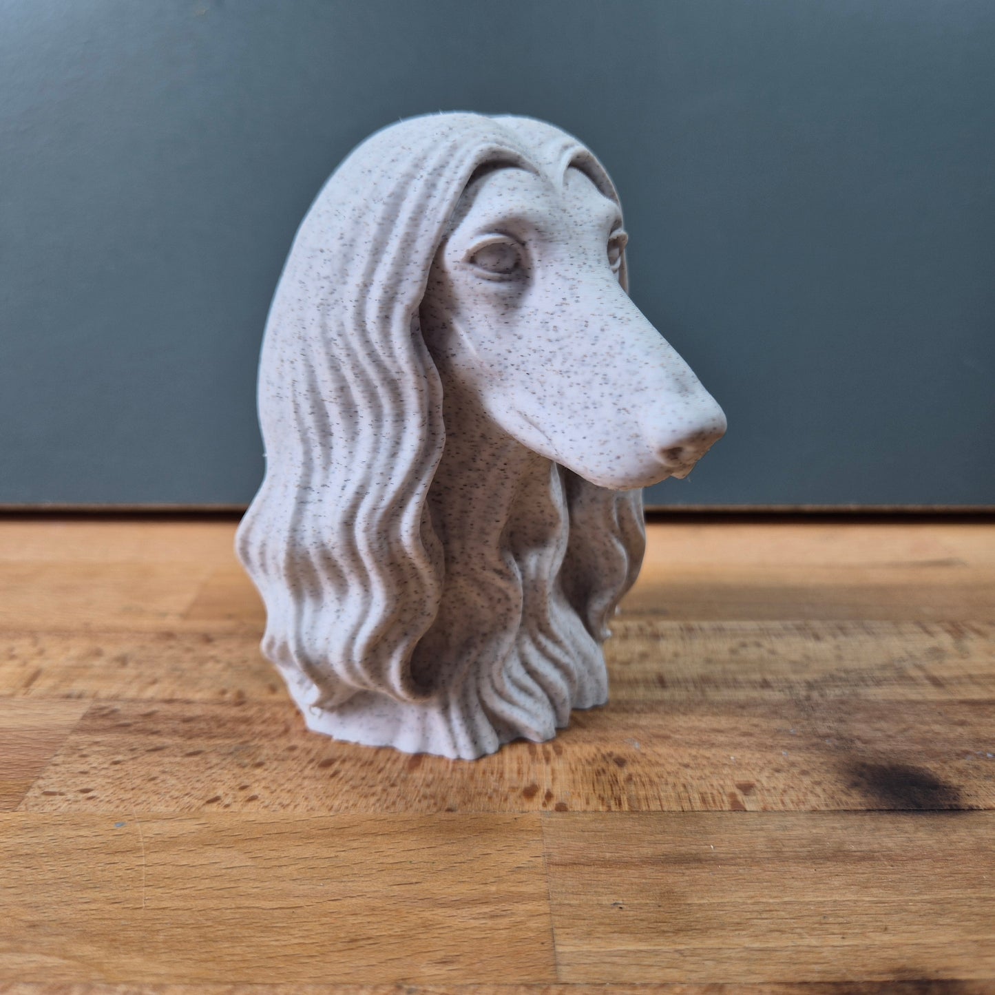 Afghan Hound Bust