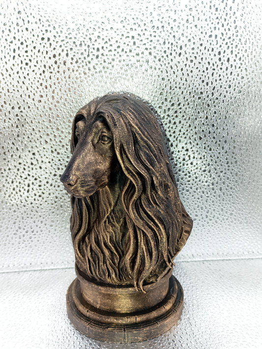 Afghan Hound Bust