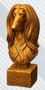 Afghan Hound Bust