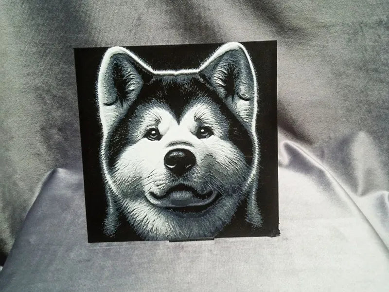 Akita Inu Dog