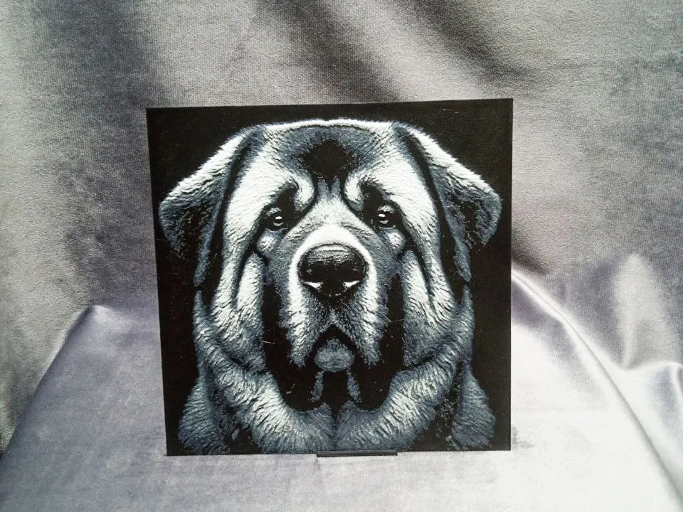 Alabai Dog (Central Asian Shepherd)