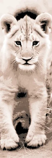 A lion cub checking out the camera and styling for his portrait