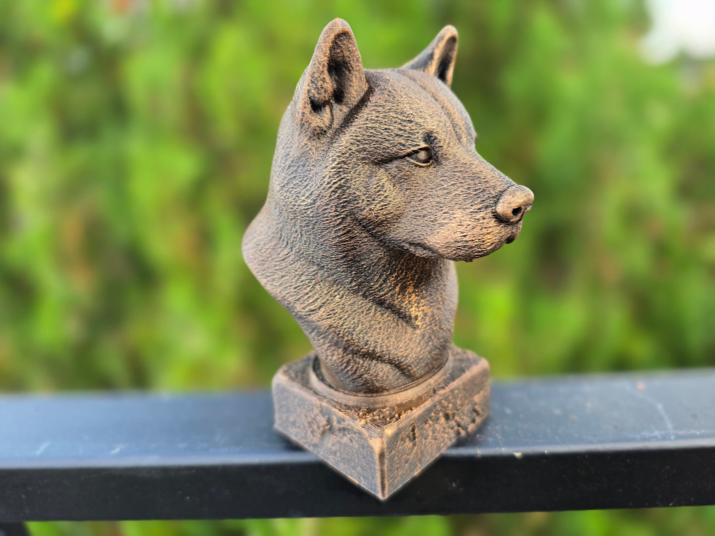 American Akita Bust