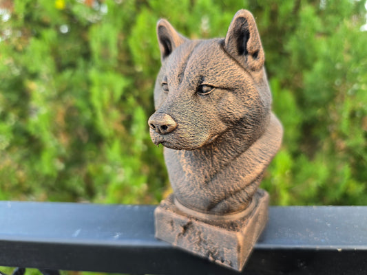 American Akita Bust
