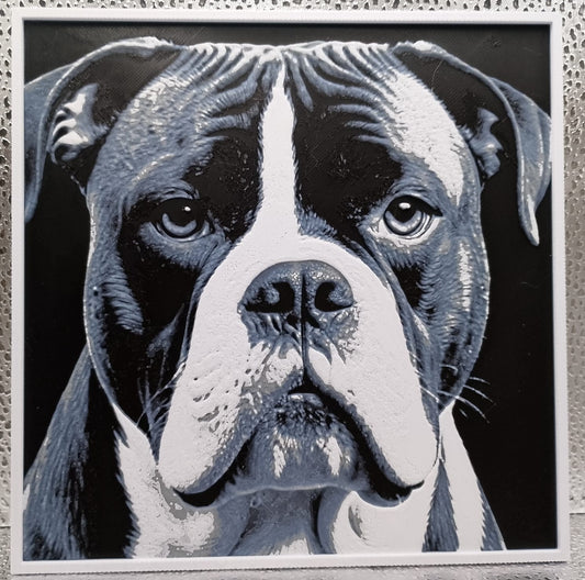American Bulldog Hueforge