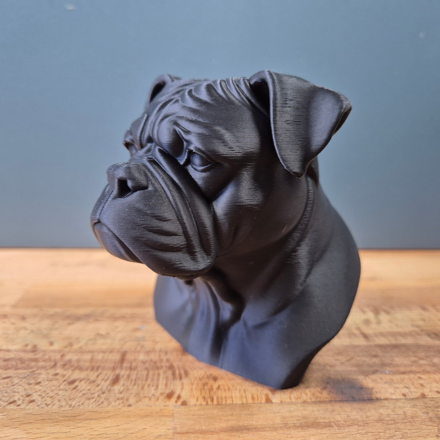 American Bulldog Bust