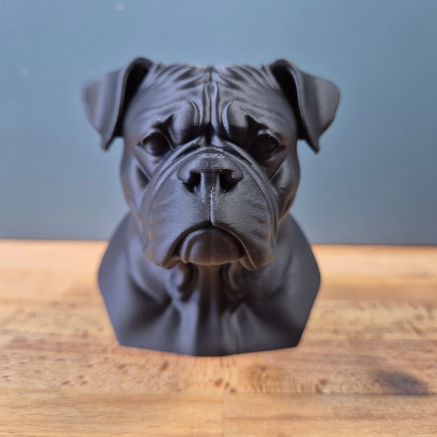American Bulldog Bust