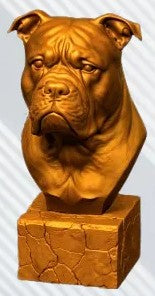 American Bulldog Bust
