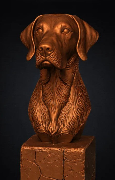 American Foxhound Bust