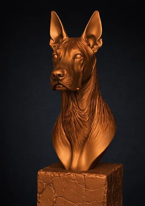 American Hairless Terrier Bust