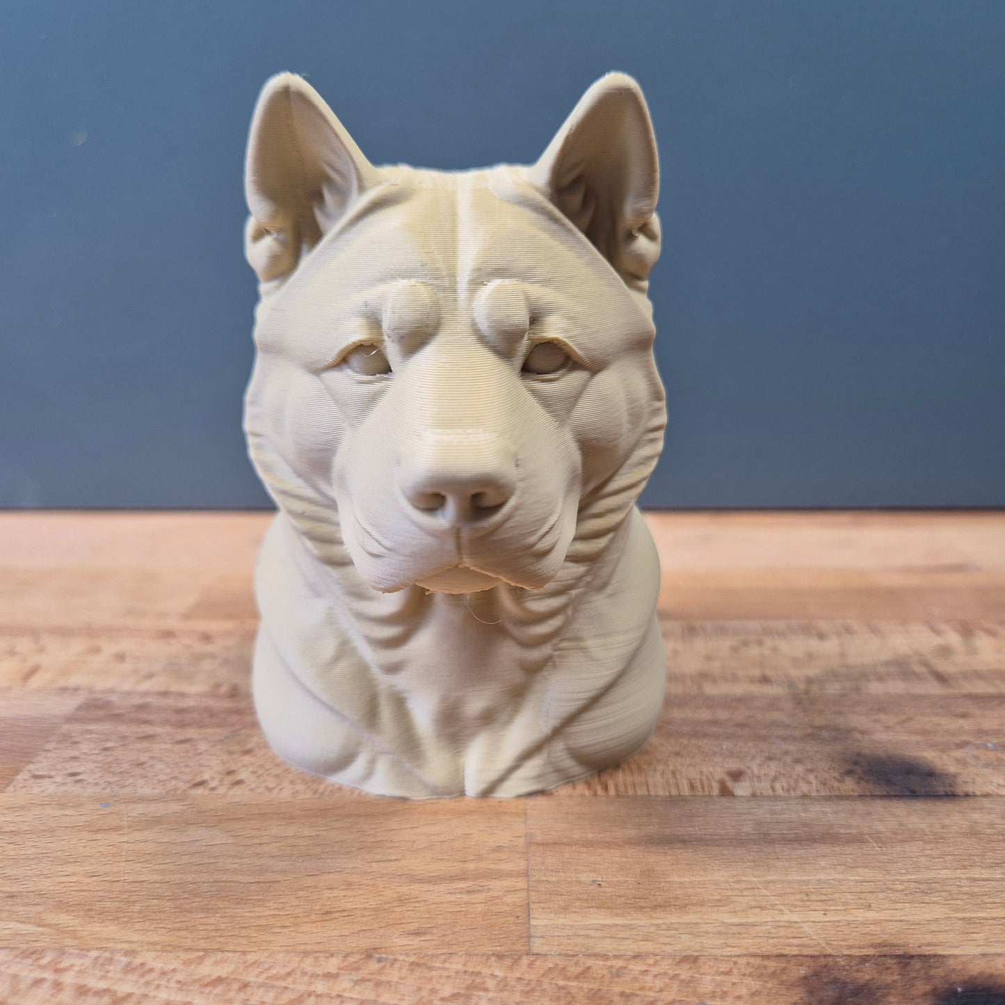 American Akita Bust