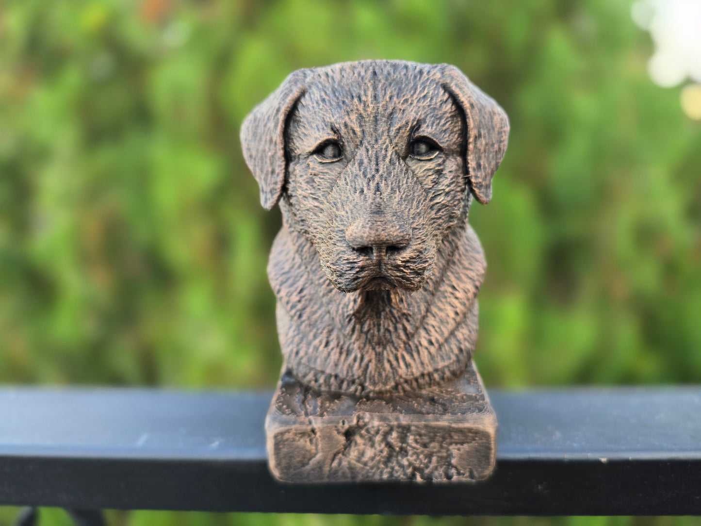 Anatolian Shepherd Dog Bust
