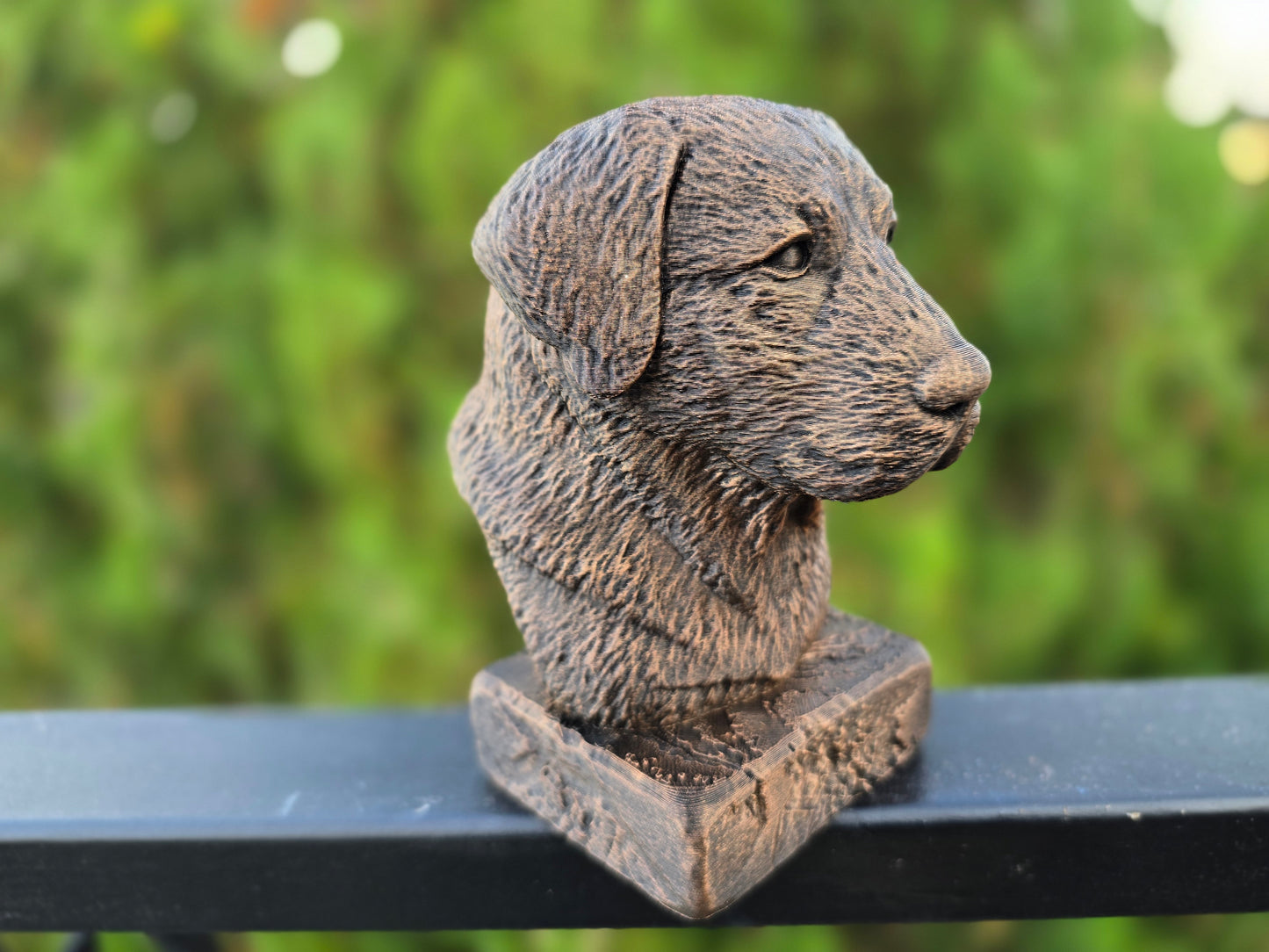 Anatolian Shepherd Dog Bust